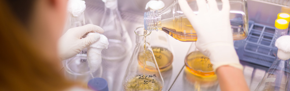 8 Steps to Handling a laboratory Chemical Spill